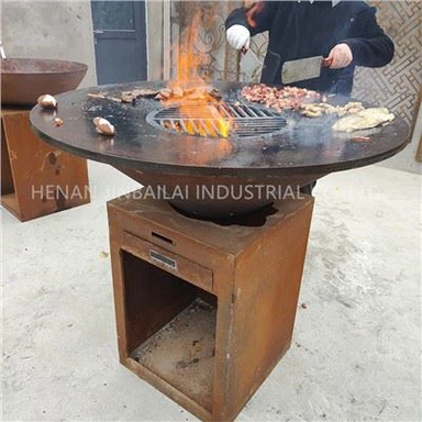 Barbacoa de gas y carbón