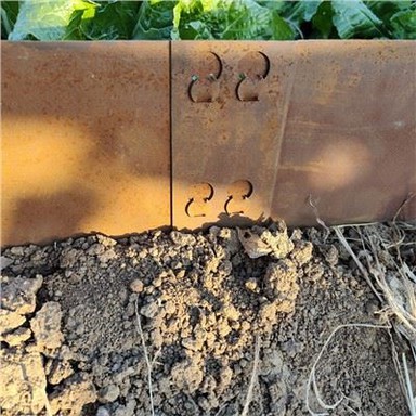 Borde de césped de alta calidad