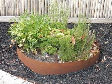 Juegos de anillos de árboles