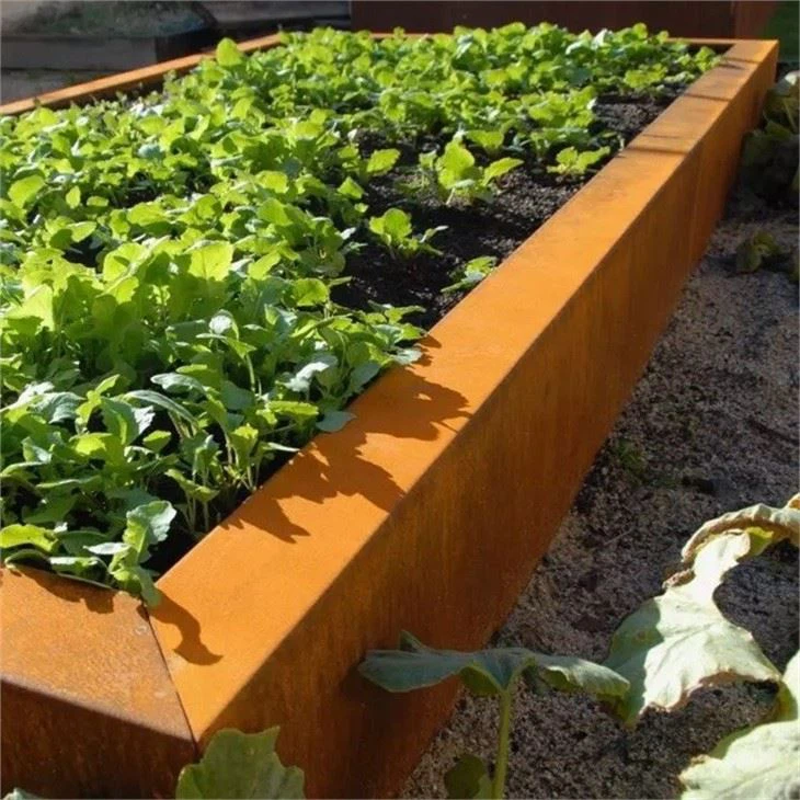Steel Grass Edging