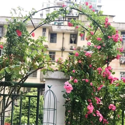Arco de jardín exterior resistente al óxido